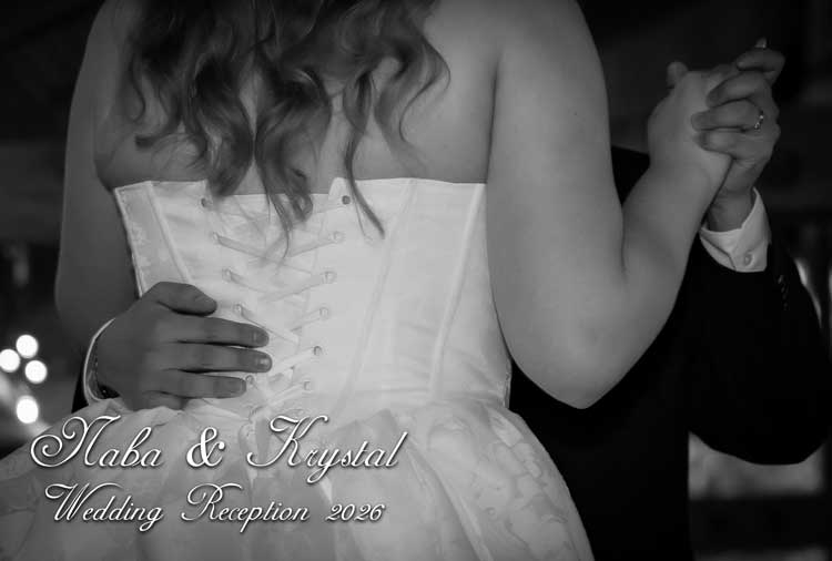 Naba and Krystal Wedding Reception